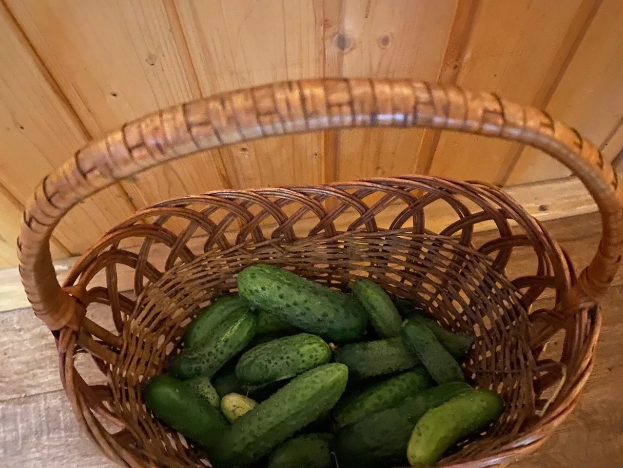 С огурцами в этом году — полный порядок! 🥒✅