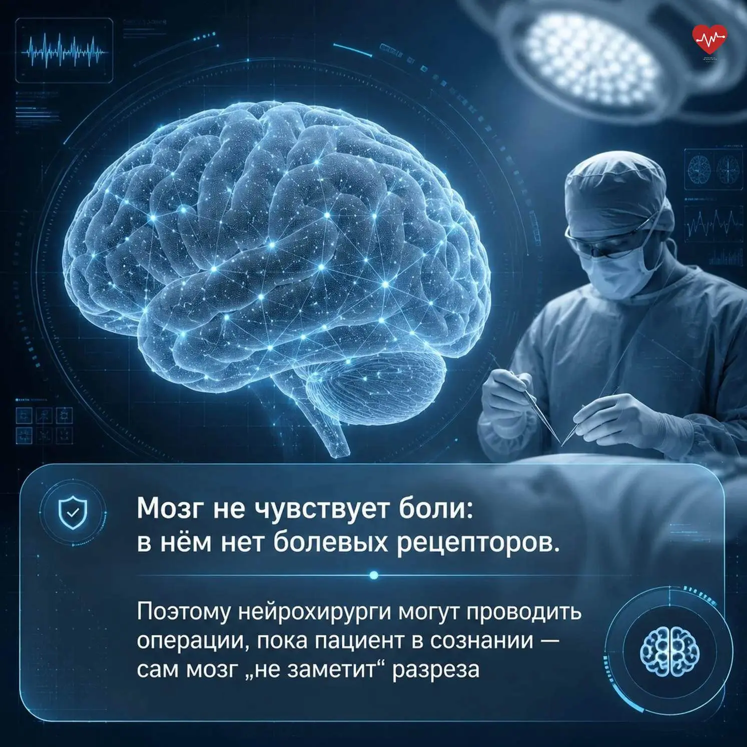 Мы привыкли думать, что мозг «отдыхает» ночью, а нервные клетки не восстанавливаются. А ещё кажется,