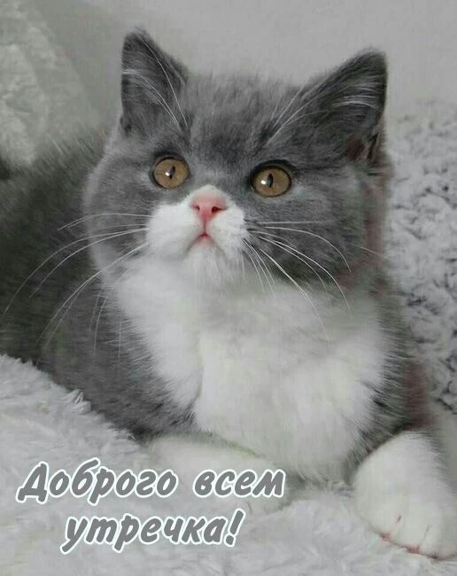 КРАСИВЫЕ ОТКРЫТКИ ТУТ💖