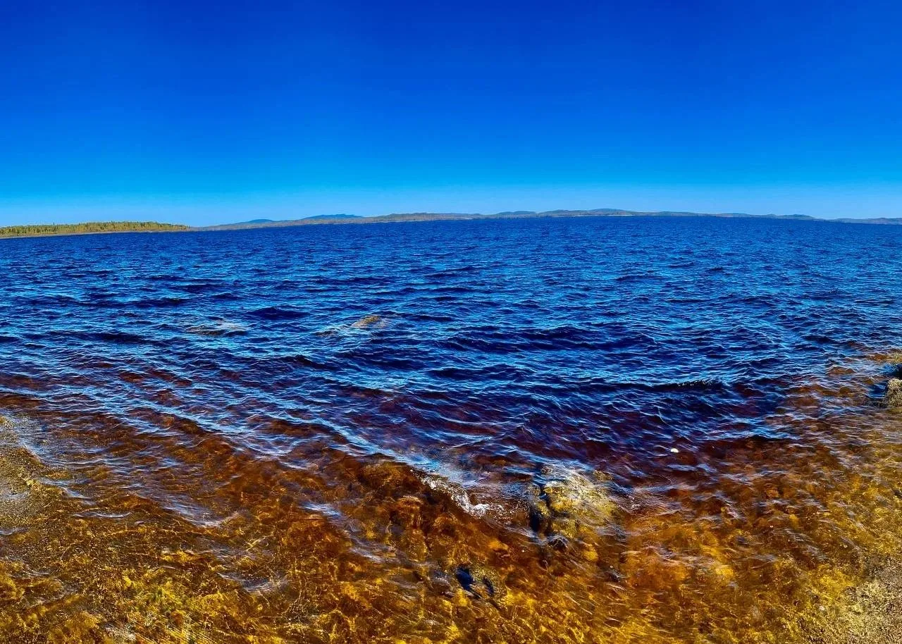 «Янтарные» воды Буреи: в чём секрет необычного цвета реки? 🌊