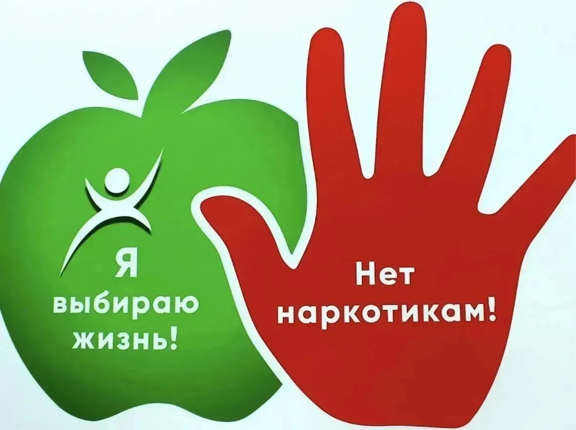 Видеоролики антинаркотической направленности