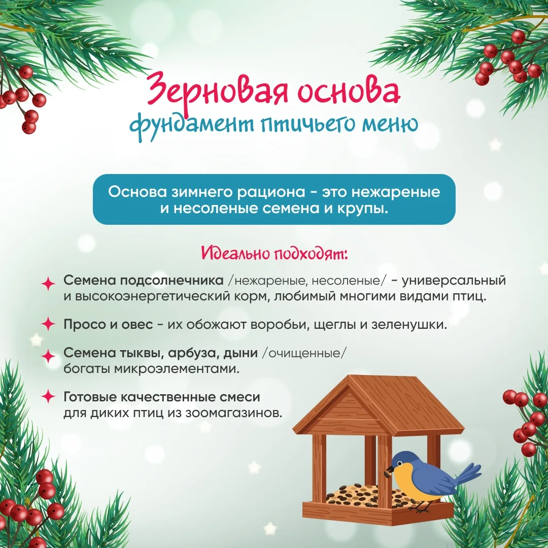 Главная угроза для зимующих птиц - не столько морозы, сколько нехватка пищи. Под слоем ...