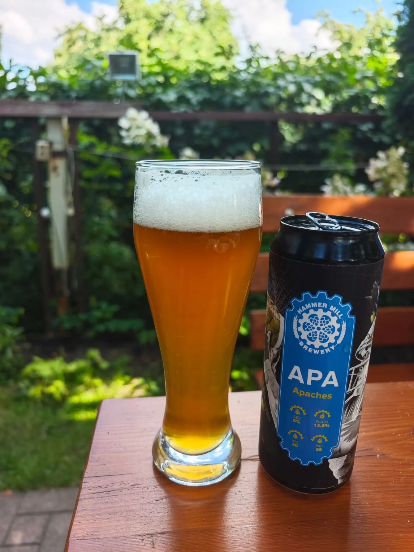 Повторение пройденного материала 🍻