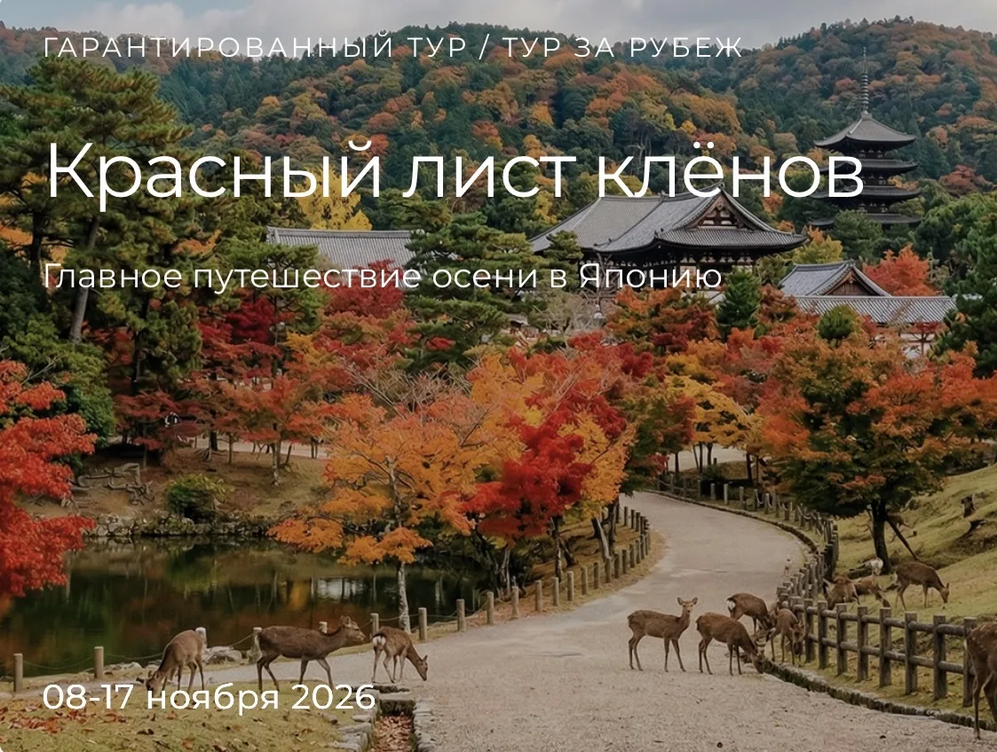 У нас появилось 1 отказное место в туре в Японию с 08.11.2026 по 17.11.2026