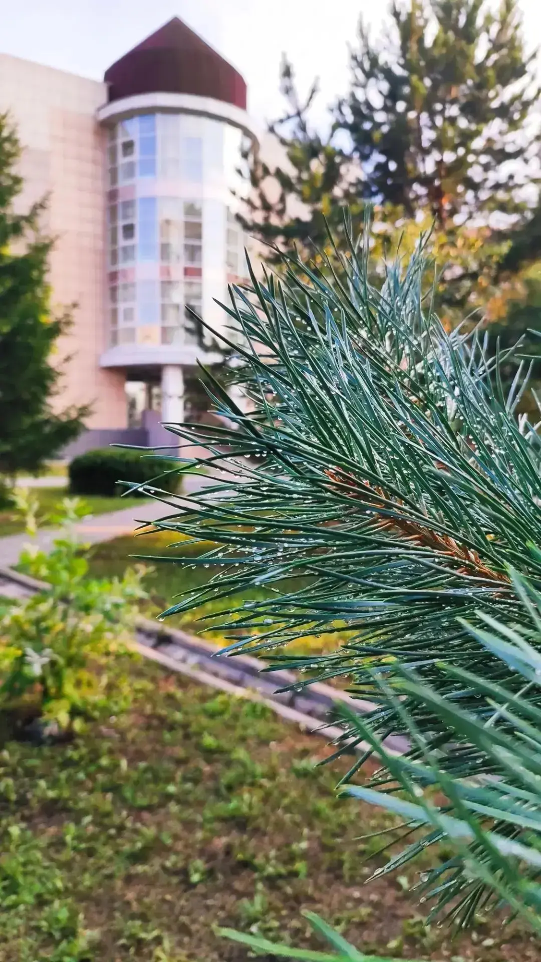 Лето в объективе: школьный двор глазами учеников ☀️🌲

📌Каникулы в самом разгаре, но наша школа не 