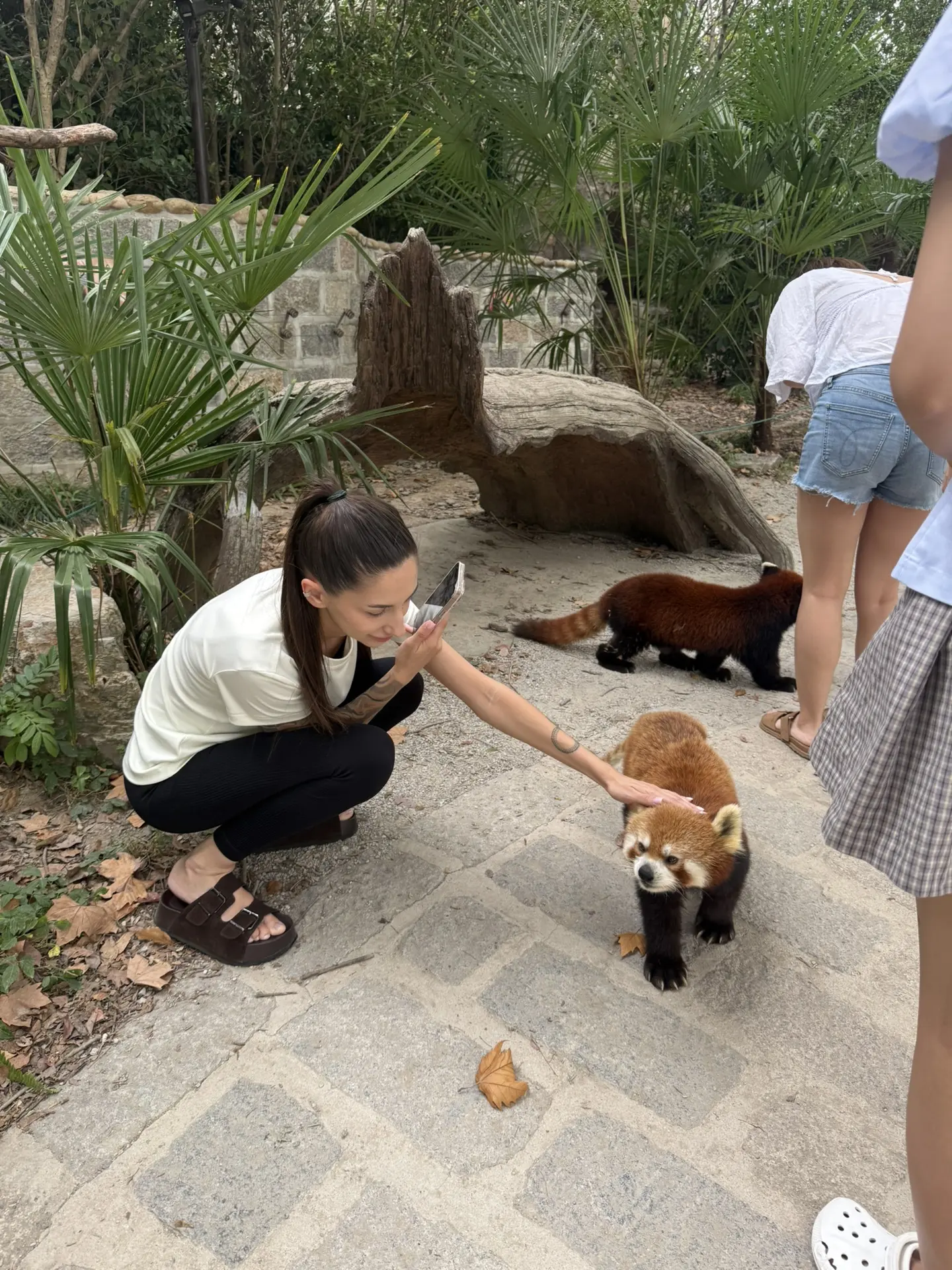 🇨🇳 САФАРИ-ПАРК В ШАНХАЕ — ВСТРЕЧА С ДИКОЙ ПРИРОДОЙ! 🐼
