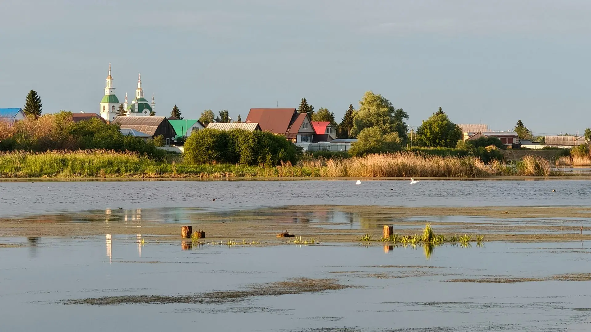 Вечернее Бабановское. Вдали белеют лебеди 🦢🦢🦢