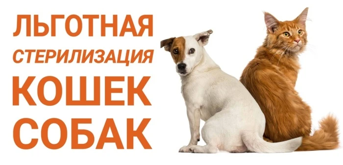 #Общество
Стерилизовать на треть дешевле можно домашних питомцев в Шахтах

30 июля, состоится традиц
