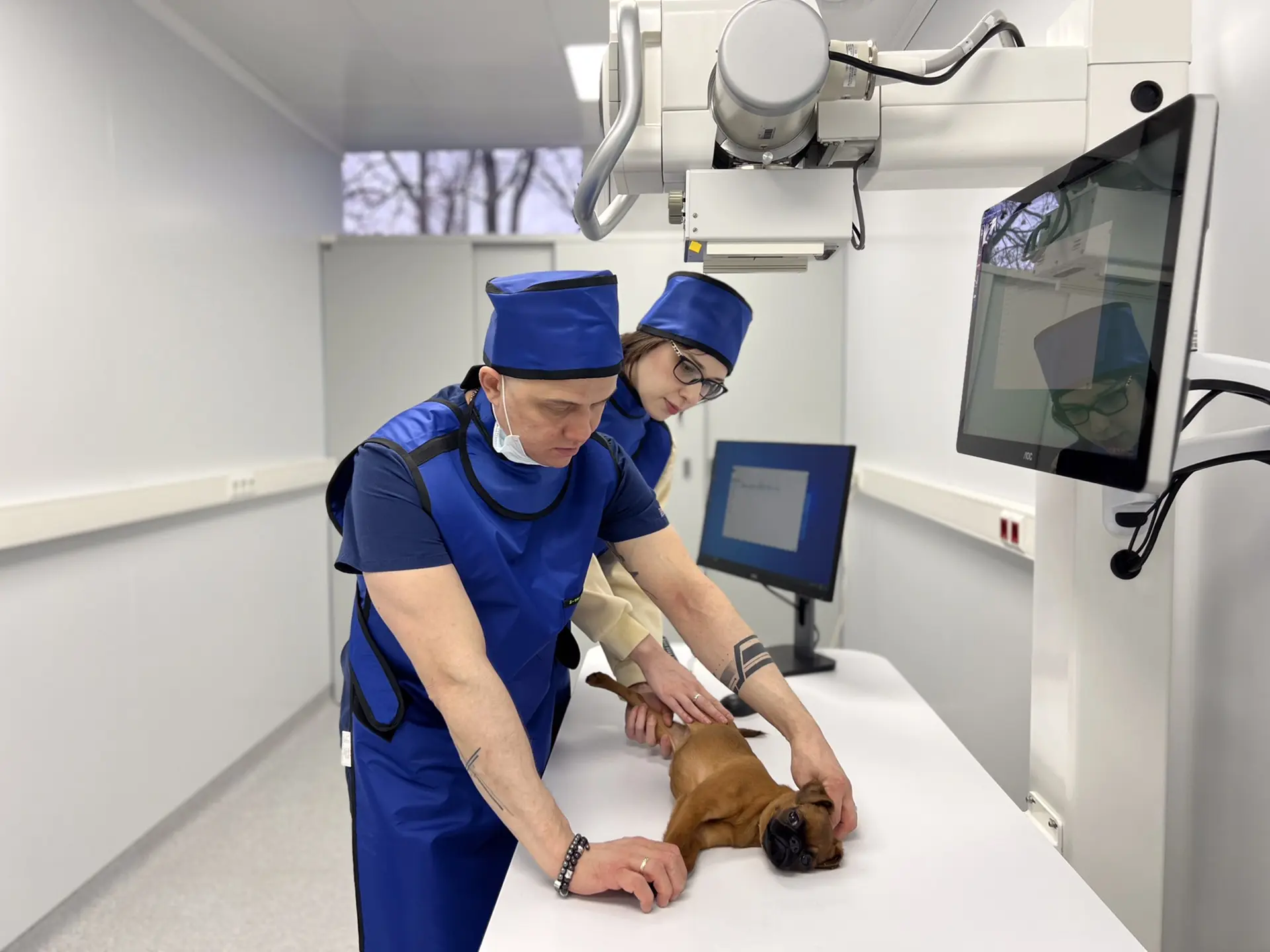👩🏻‍⚕️👨🏻‍⚕️За август 2026 года специалисты Ветеринарного центра ФГБУ «ВГНКИ» провели...