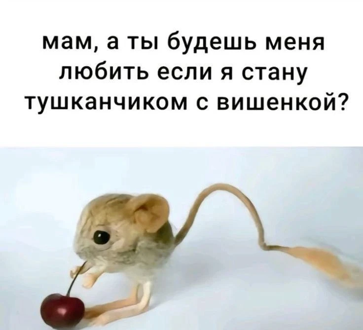 😳Помогаем хорошо ладить с родителями