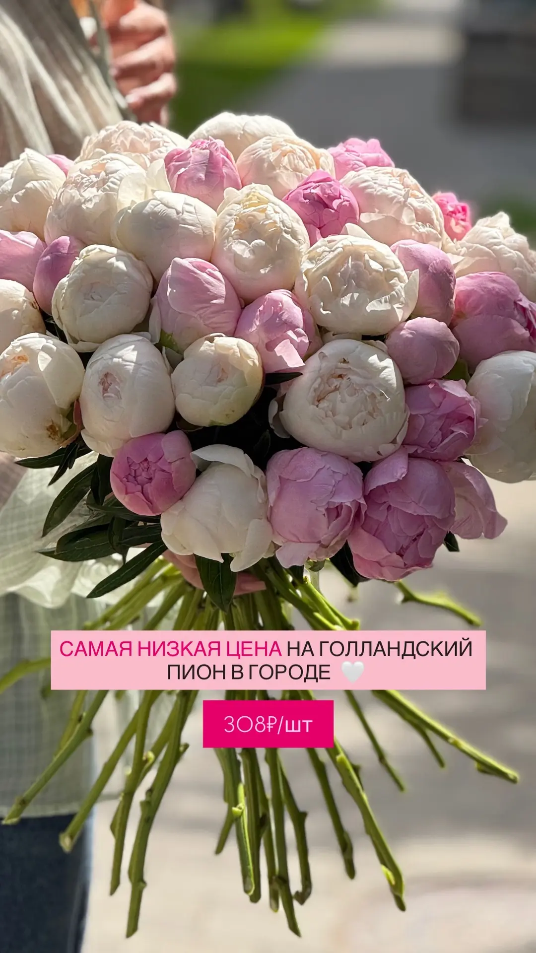 У нас супер-новости! Самая низкая цена на голландский пион в Самаре — 308 ₽ за штуку! 🌸

Цветы потр