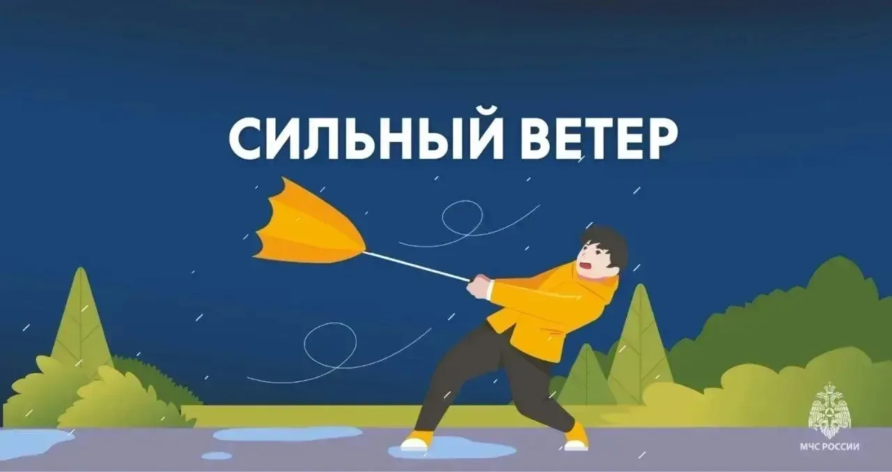 ❗В Орловской области ожидаются порывы ветра  местами до 24 м/с