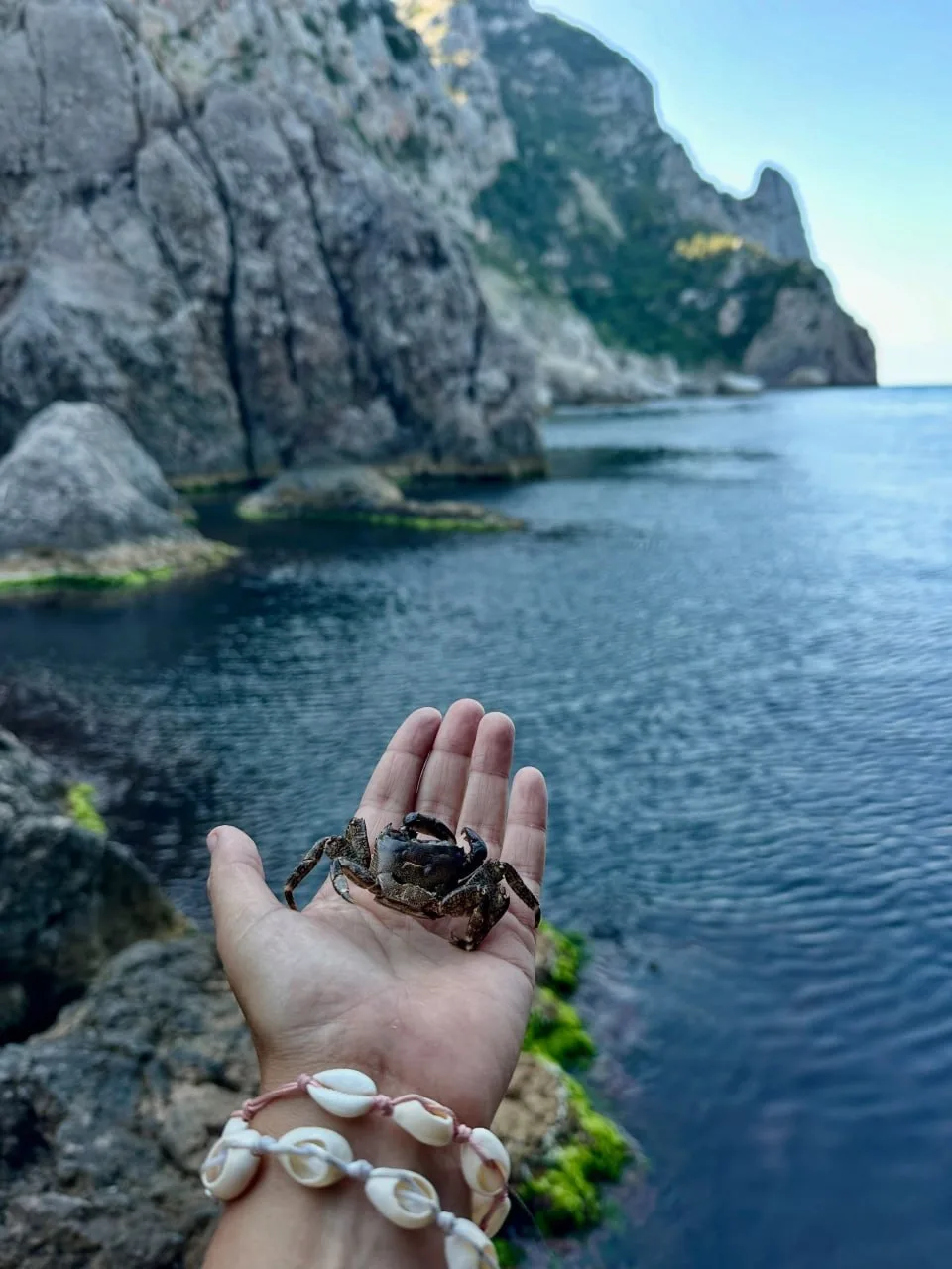 🦀Урочище Казан-Дере, мыс Айя. Балаклава