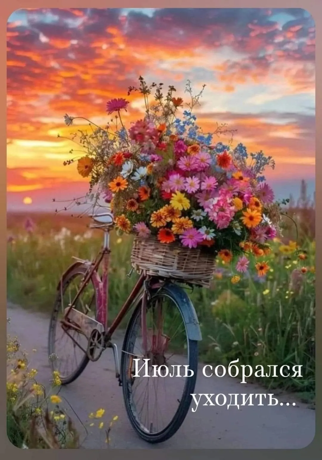 Последний день июля ☀️

Открытки в MAX ️💌Подписаться