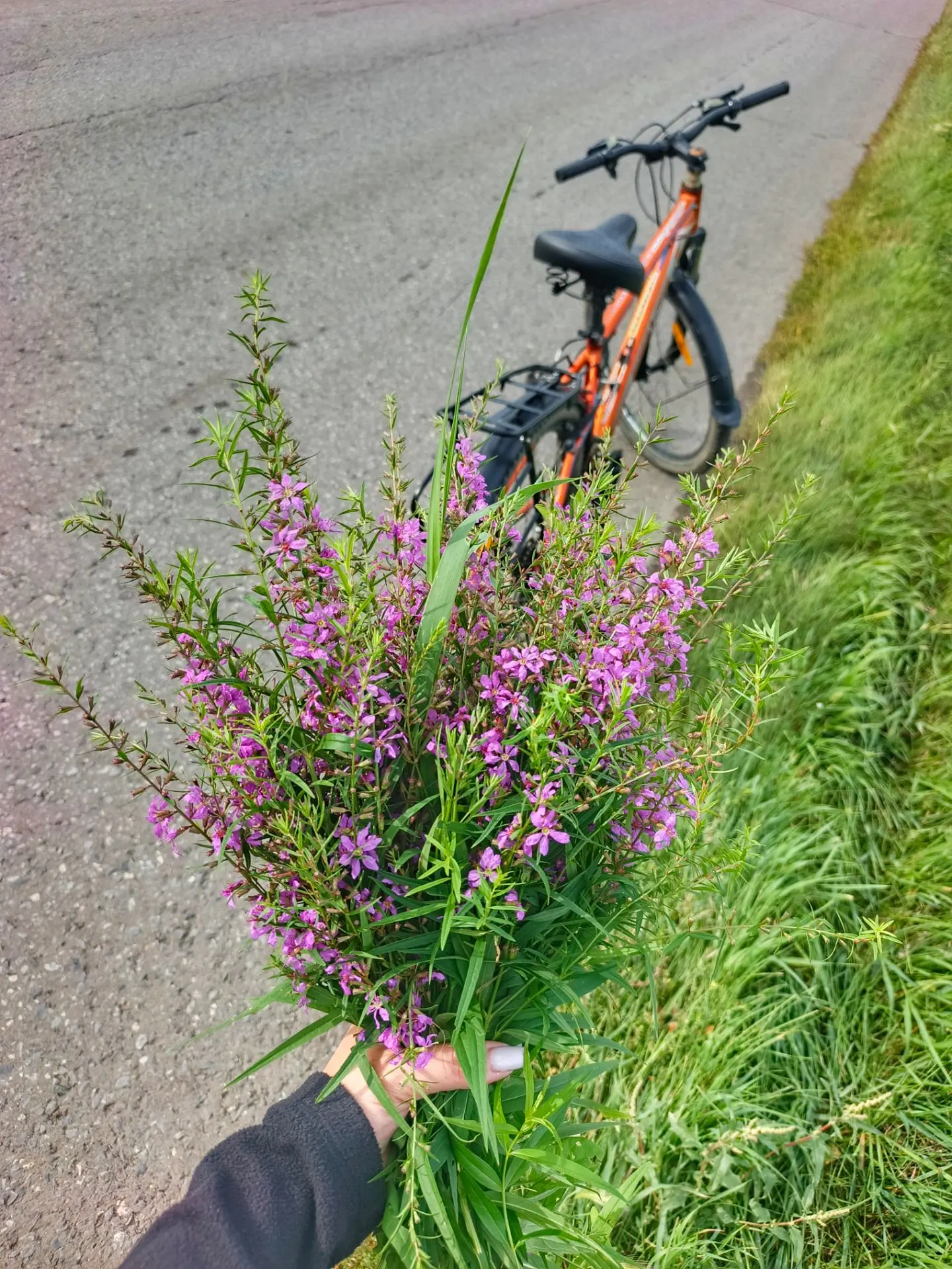 А запах какой🌸 Кайф!☺