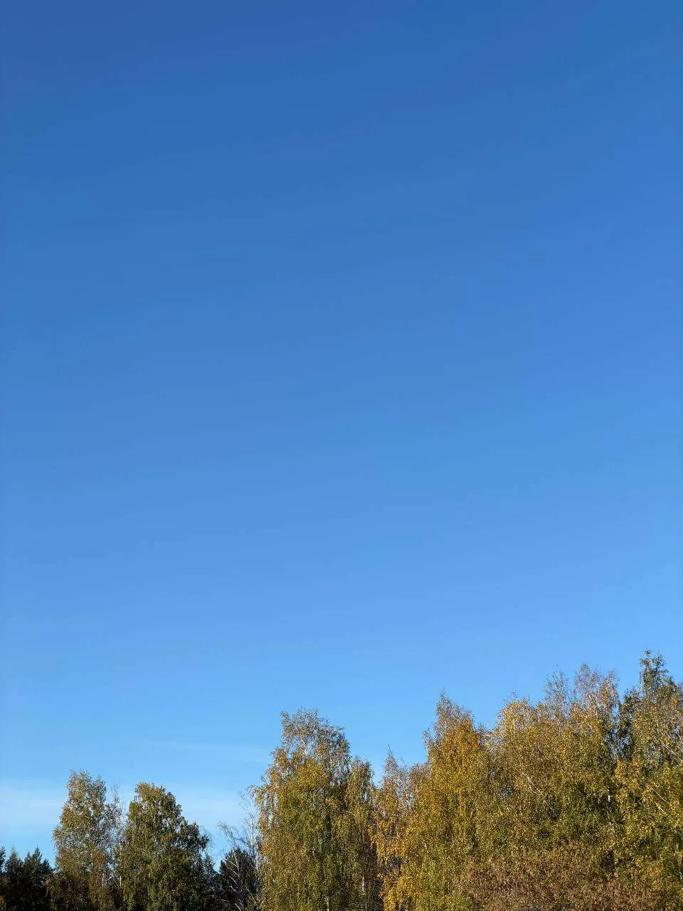 Прогноз погоды