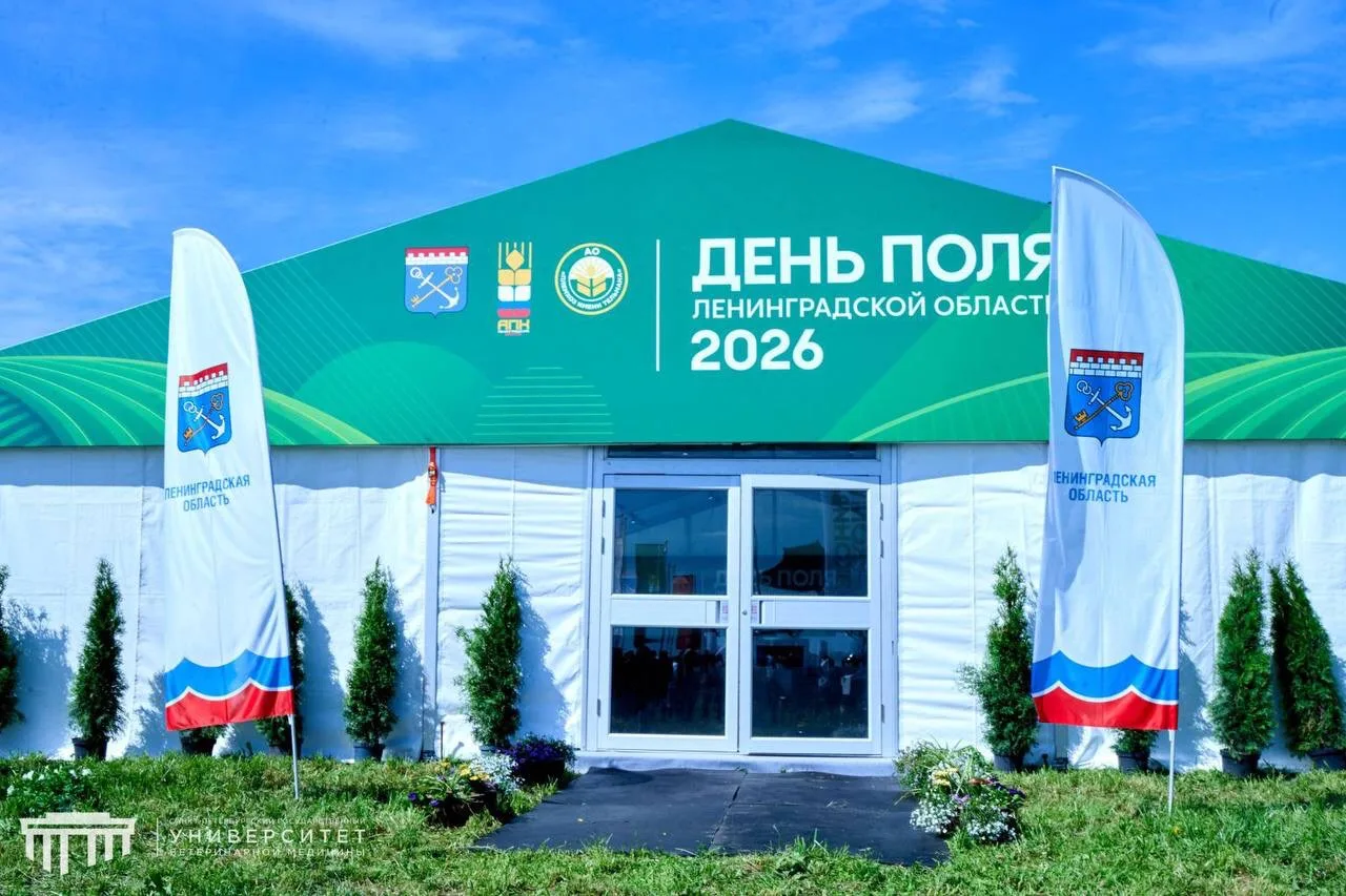 🌾#СПбГУВМ — на Дне поля в Ленобласти! 

🏁В племхозе имени Тельмана стартовала кормозаготовительная