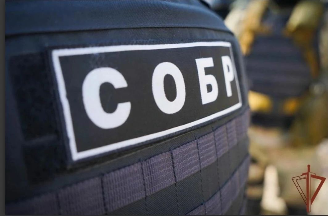 Подозреваемый в убийстве 70-летнего жителя Вологодчины задержан при содействии СОБР Рос...