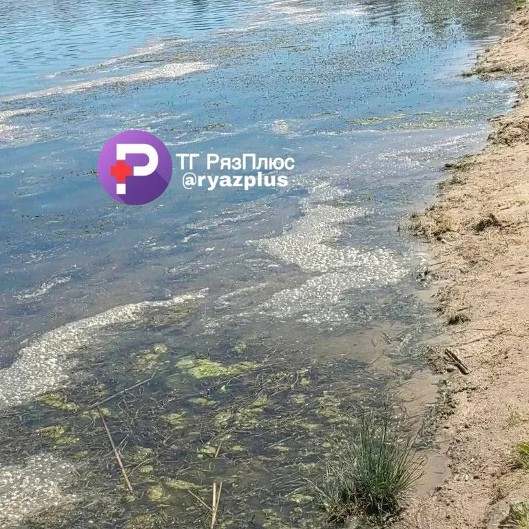 🌊 Жители Новомичуринска пожаловались на резкое ухудшение состояния воды на местном пля...