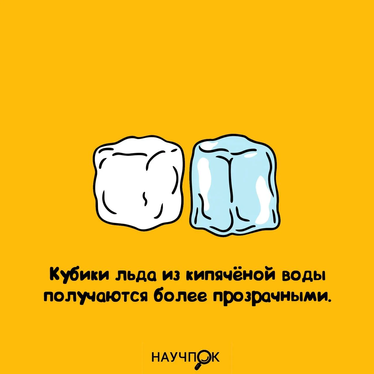 Кубики из кипяченки — это лед с высшим образованием! 😂❄️