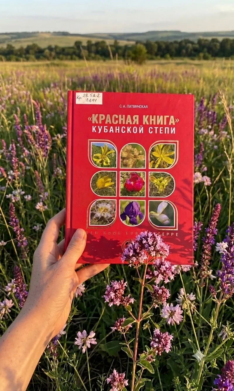 💥Дорогие друзья! Мы продолжаем рубрику «Издано на Кубани», где рассказываем про новые издания краев
