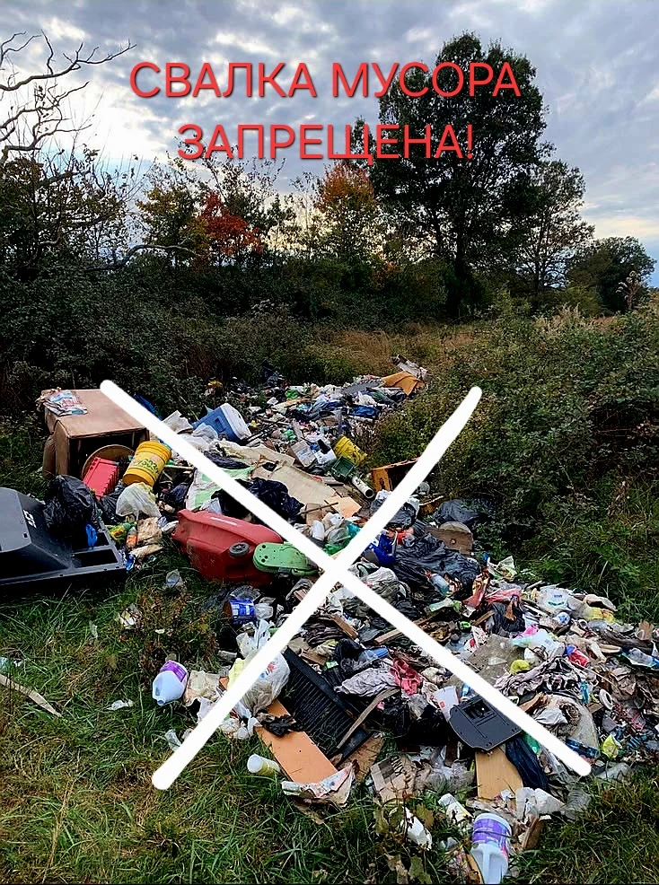 ❌ Запрещено вывозить и выбрасывать мусор в лесополосу