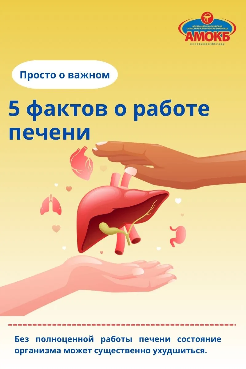 Сегодня мы расскажем вам о 5 фактах работы печени, о которых вы, возможно, не знали.

Подробности в 