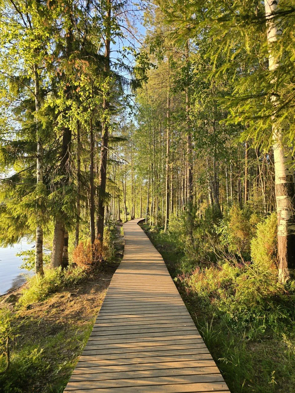 Настроение – осень🍂. Где проведут её мои туристы?