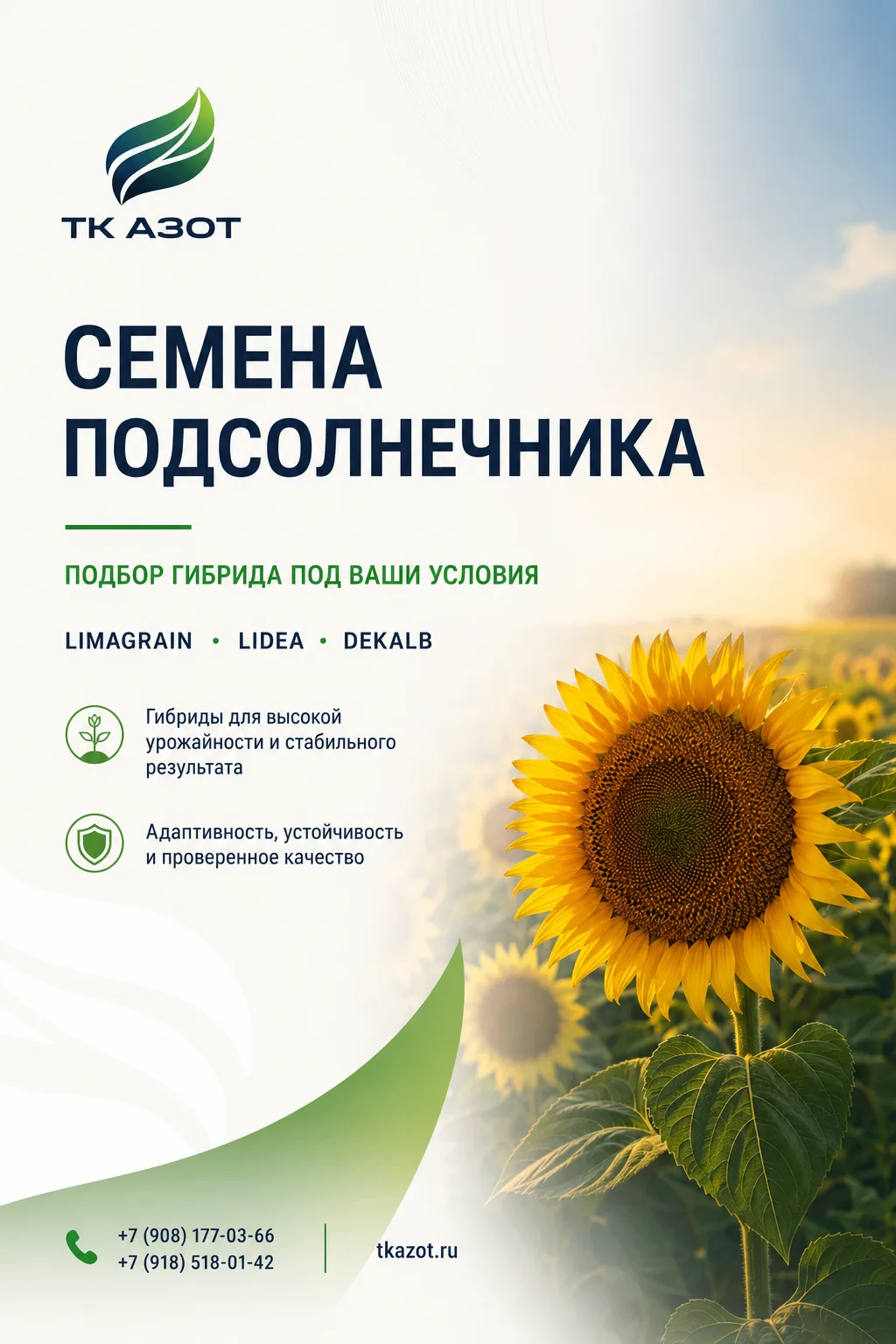 🌻 СЕМЕНА ПОДСОЛНЕЧНИКА: ПОДБЕРЁМ ГИБРИД ПОД ВАШИ УСЛОВИЯ🌻