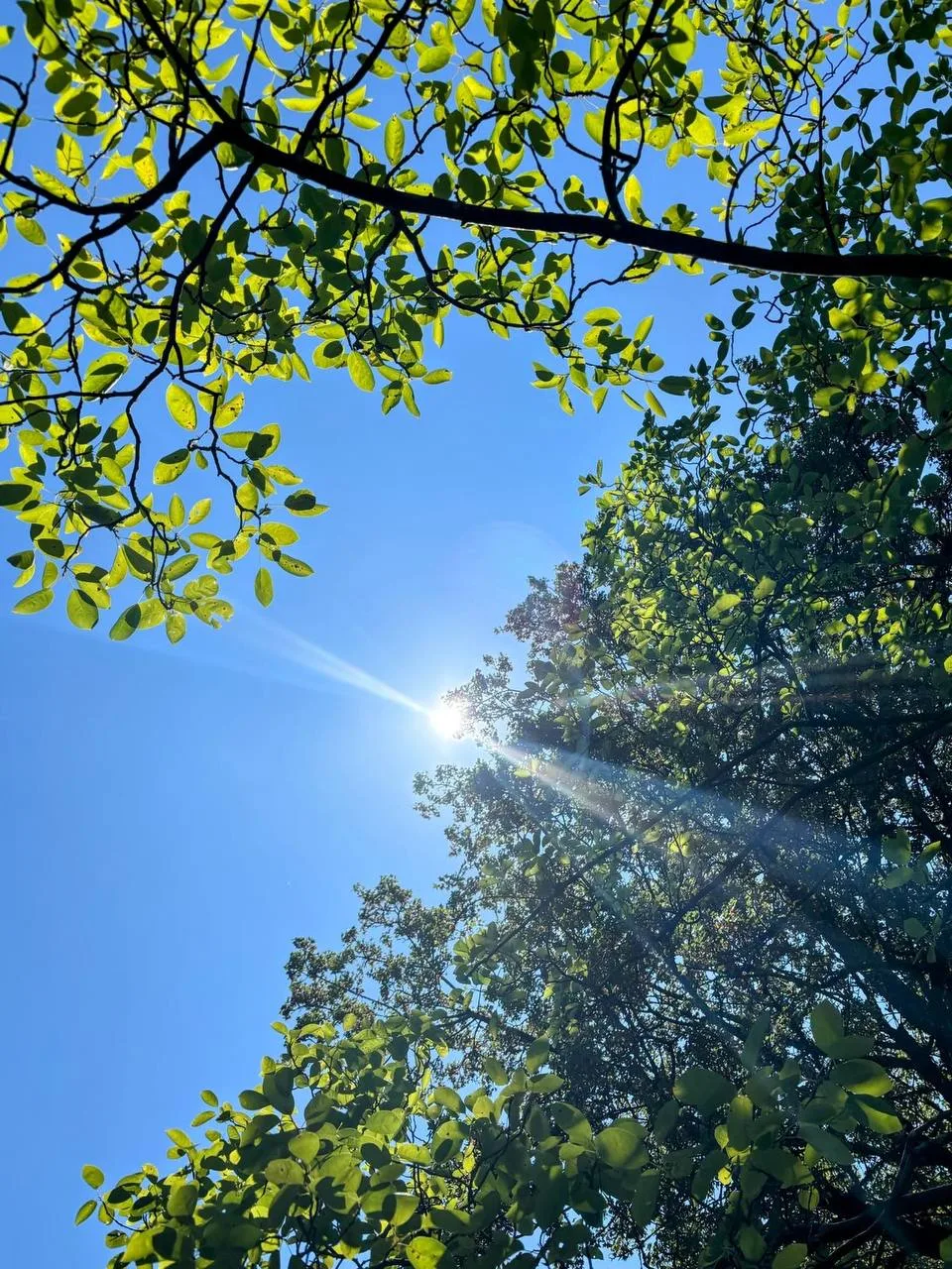 Завтра в Луганске до 30°.