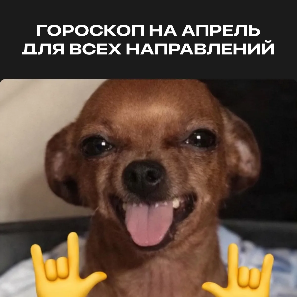 Звезды рассказали нам, что ждет каждое из направлений в апреле!