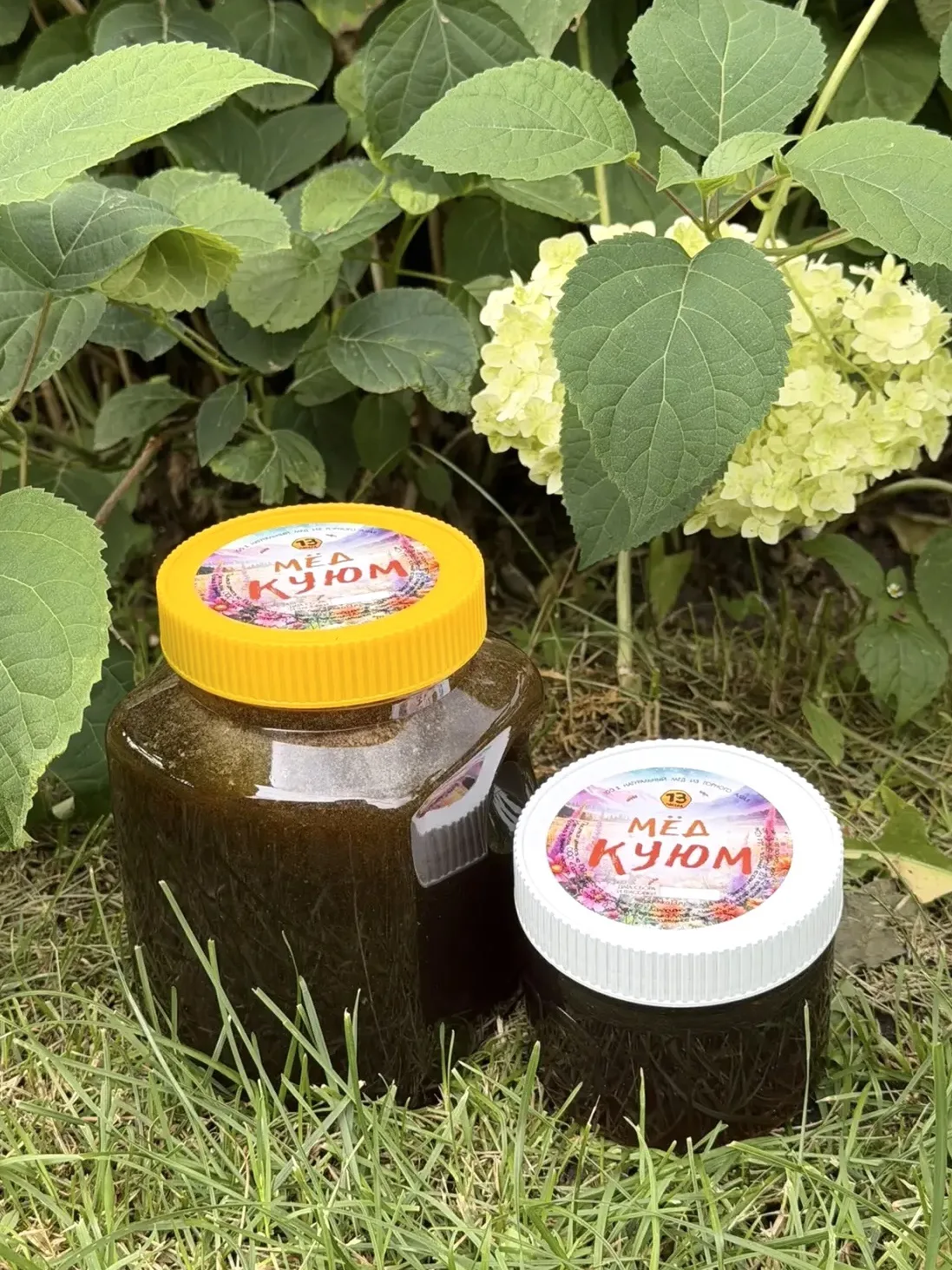 Послание на день от Пасеки 13🐝: позвольте себе просто цвести, радоваться жизни и порха...