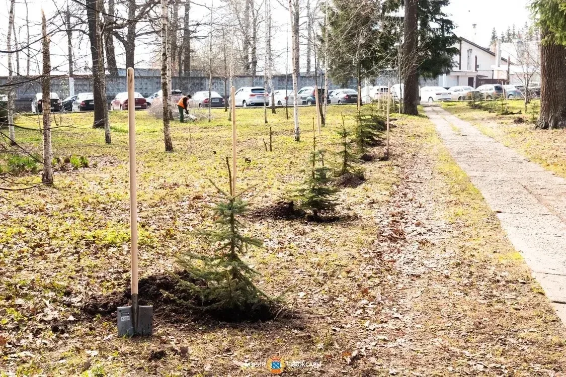 ☀️Доброе утро, чебоксарцы!  Желаю вам доброго воскресного дня! Весна окончательно вступила в свои пр