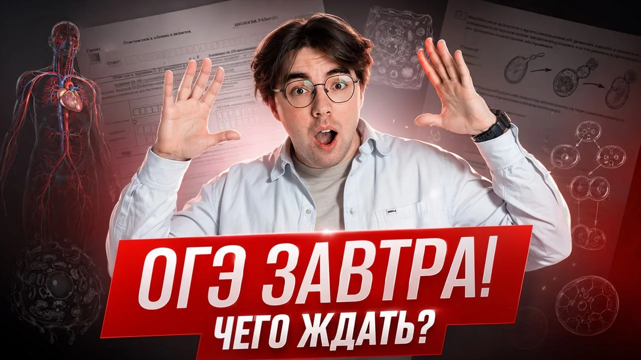 ⏺⏺⏺⏺⏺⏺⏺⏺

Залетаем! По традиции чат в комментах, а смотрим тут:
📺 ВК видео | 📺 Ютуб |📺 Рутуб