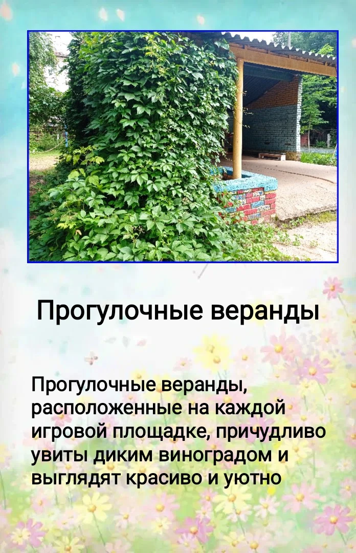 Заканчивается лето. Последние денёчки любуемся нашей зелёной, уютной, ухоженной террито...