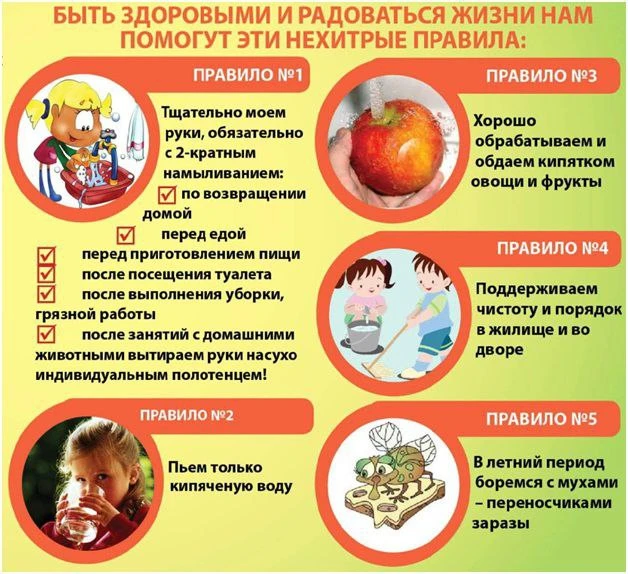 В летний сезон особенно актуален вопрос профилактики острых кишечных инфекций. Необходи...
