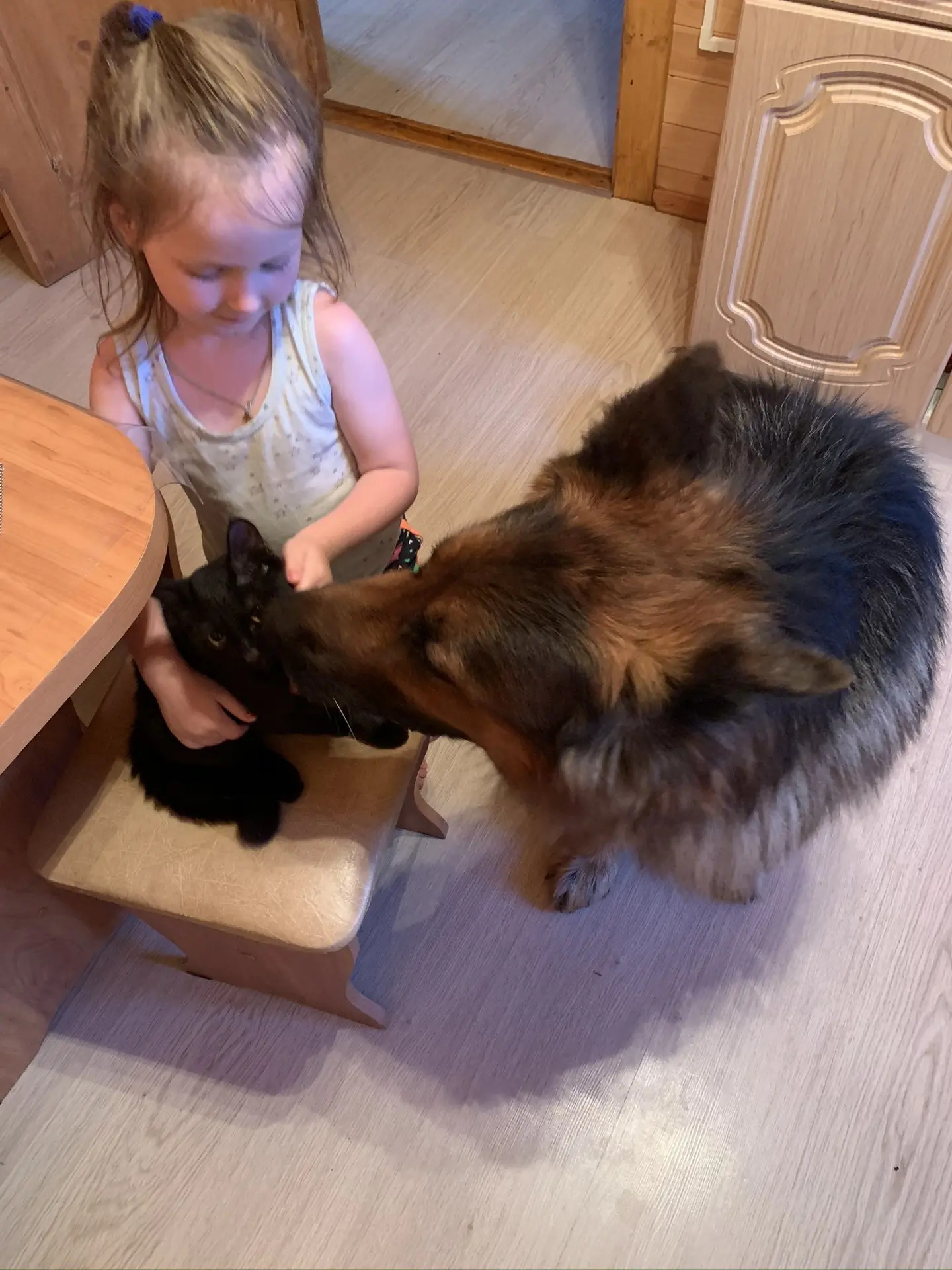 Настоящее счастье выглядит так ♥️