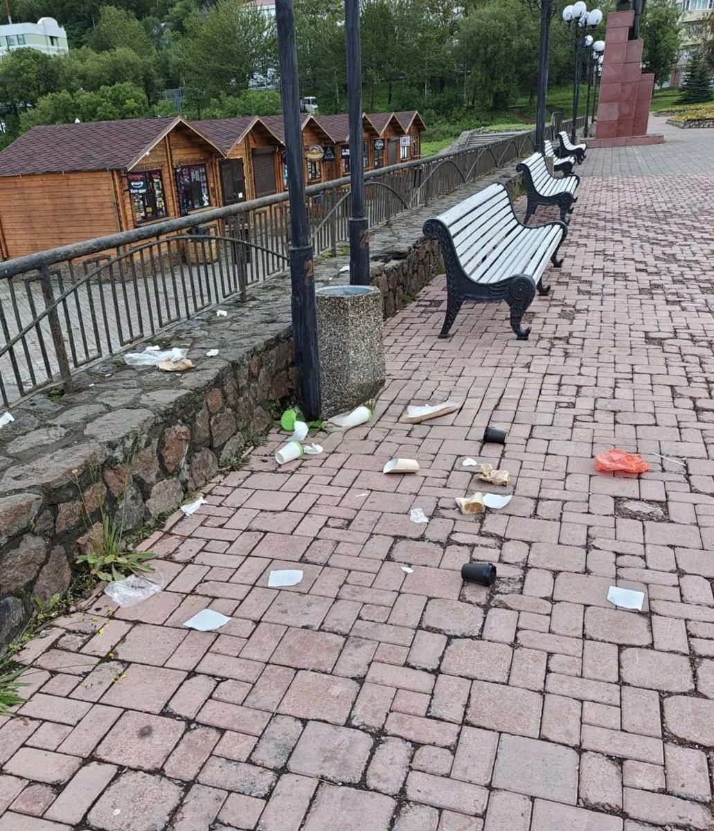 Каждое утро прохожу полгорода пешком. Почти никогда не вижу дворников, вижу только плох...