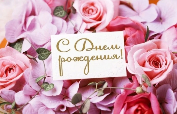 🌸🌸🌸🌸🌸🌸🌸🌸🌸🌸🌸🌸🌸🌸🌸