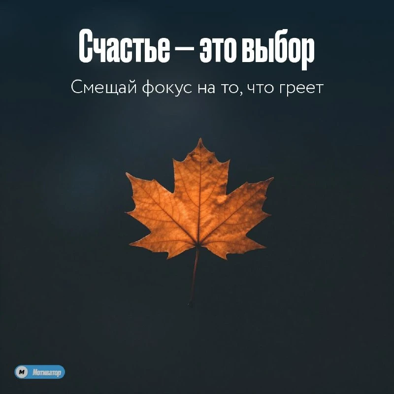 Счастье — это не то, что с тобой случается, а то, что ты выбираешь замечать.

Его не ждут и не ищут 
