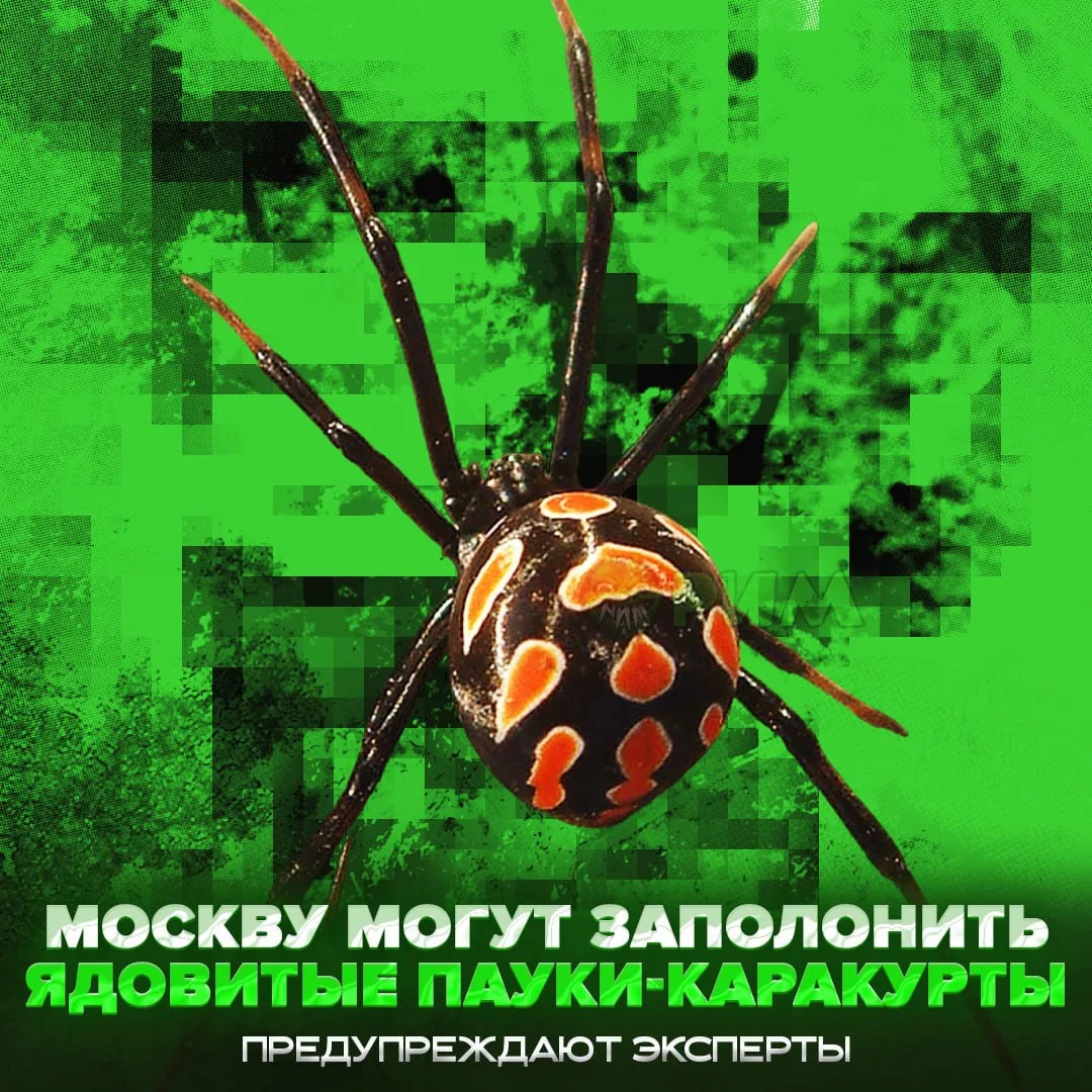 Изображение 1 к публикации «РИМ»