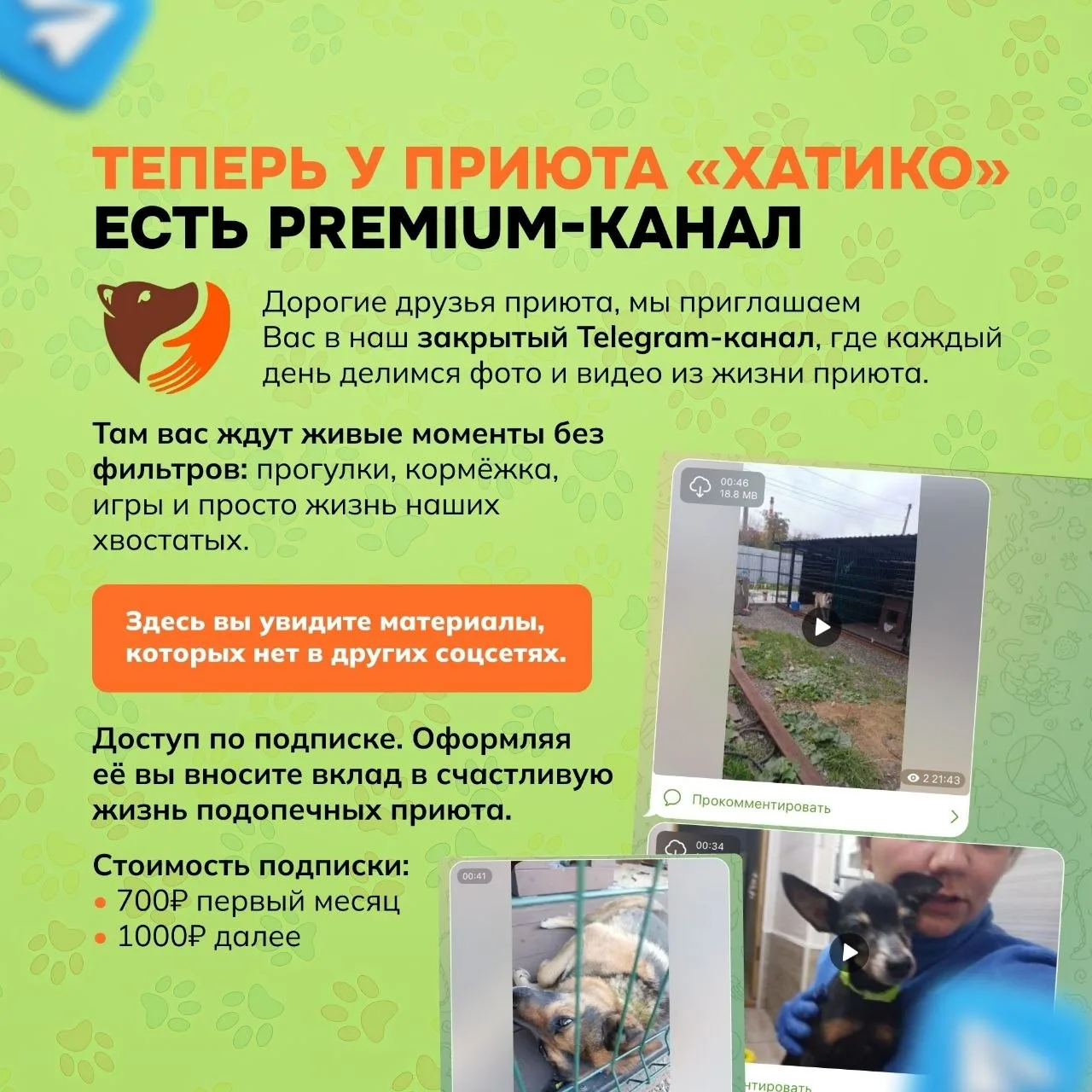 Друзья! Приглашаем вас на закрытый Telegram канал🤗