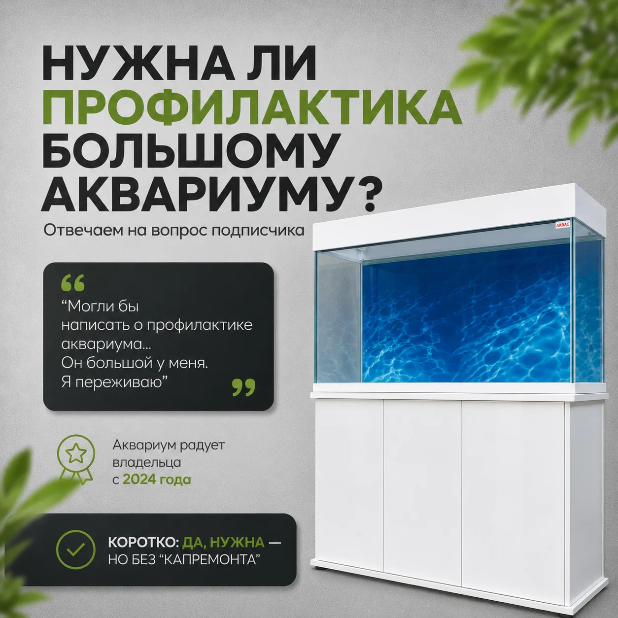 🐠 Вопрос от подписчика: нужна ли профилактика большому аквариуму?