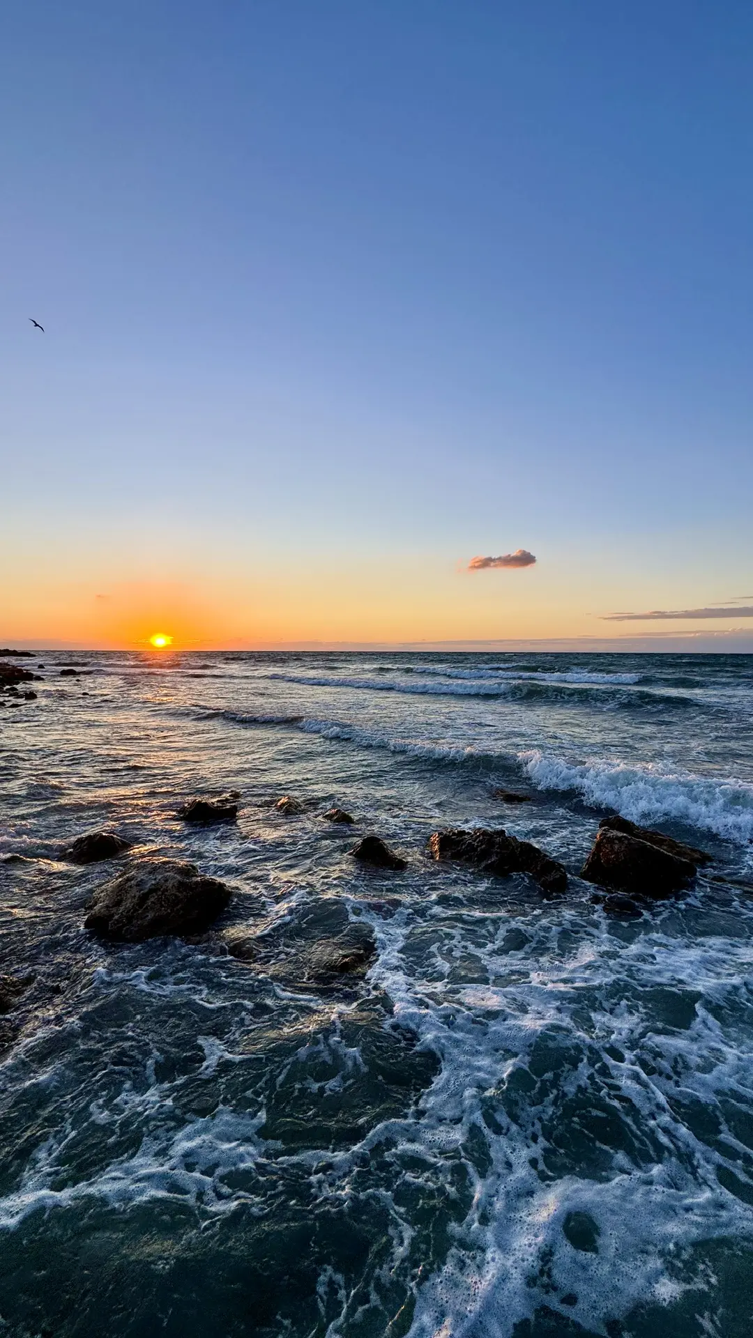 Сегодняшний закат и шторм в парке Победы 🌅🌊