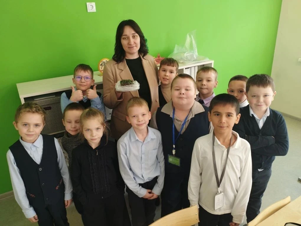 🌱 Школьный агроклуб «Росток»:  урожай микрозелени капусты готов! 🌱Юные агрономы решили сделать прият