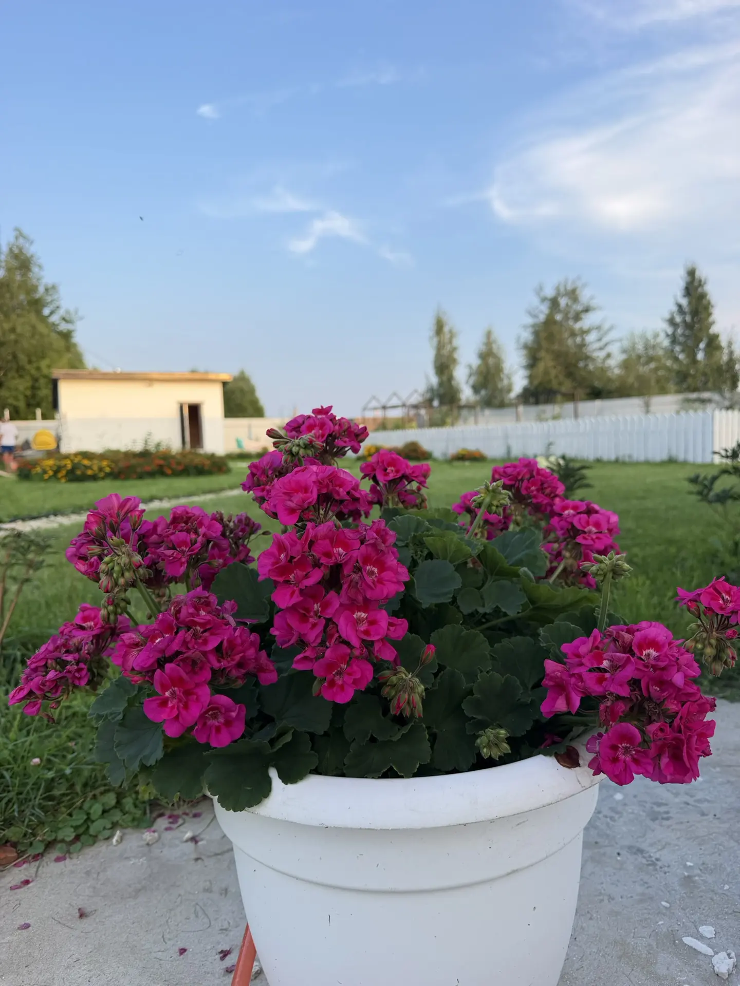Благодарю вас за проведеный день с нами.