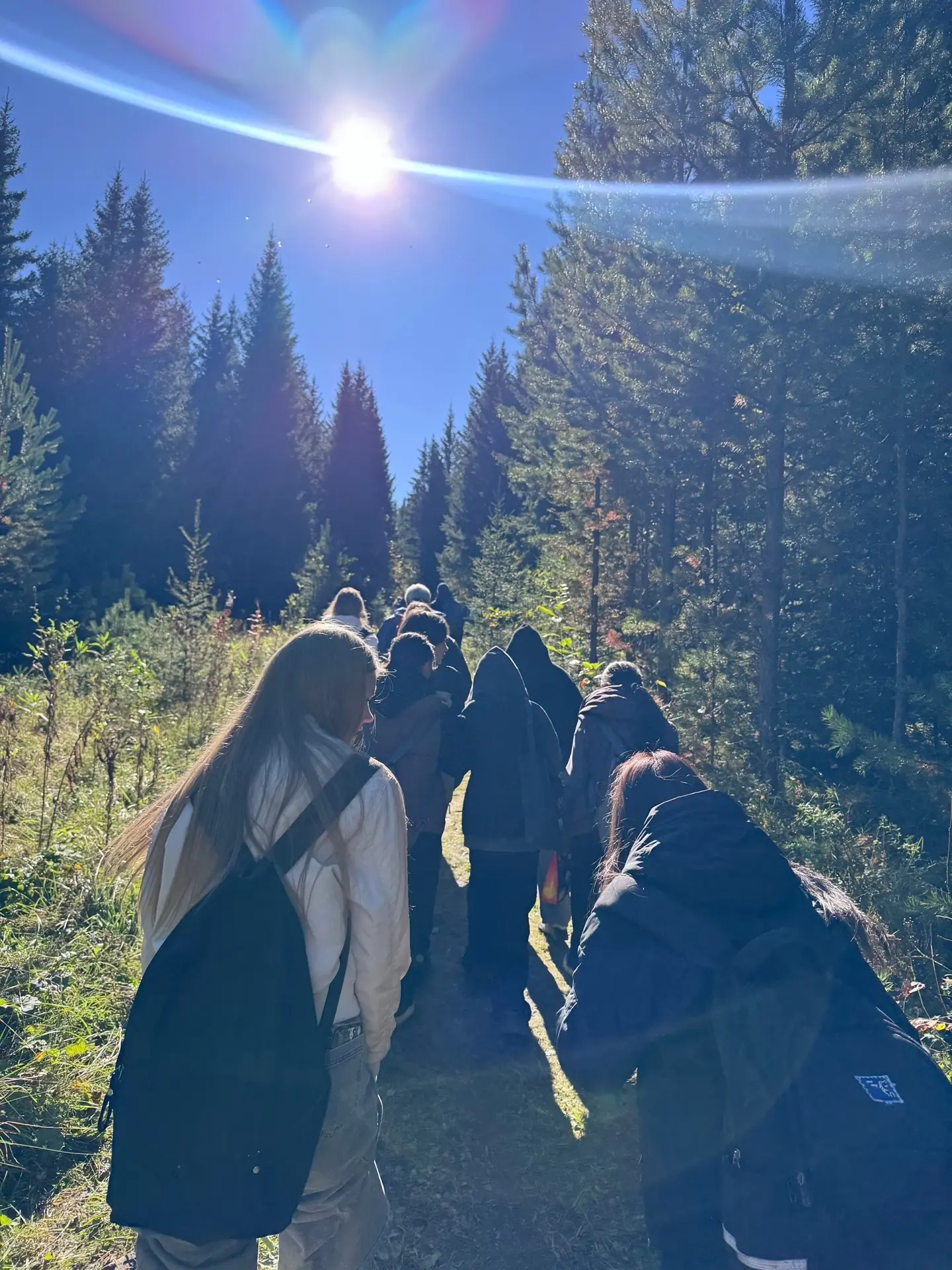 🍂 В честь Дня туризма: 7 класс покоряет Голый Камень! 🏕️