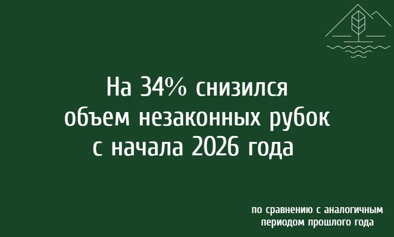 Благодаря системной работе по мониторингу обстановки в лесах региона объем незаконных рубок с начала