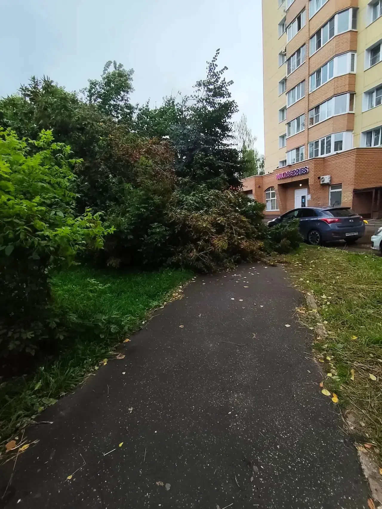 🪵🌳🪾Деревья после непогоды.

Дзержинского 8/2, Фурманова 16

✅Коломна Актуальная. Подписаться