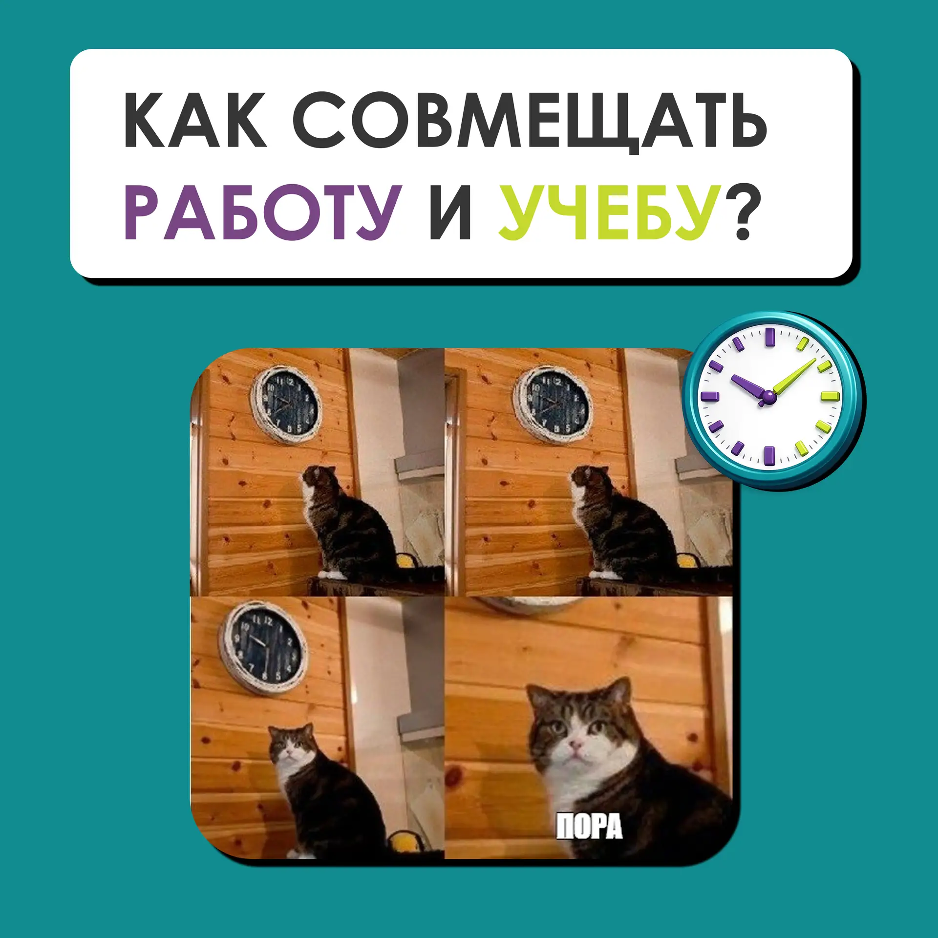 Как эффективно совмещать работу и учебу?
